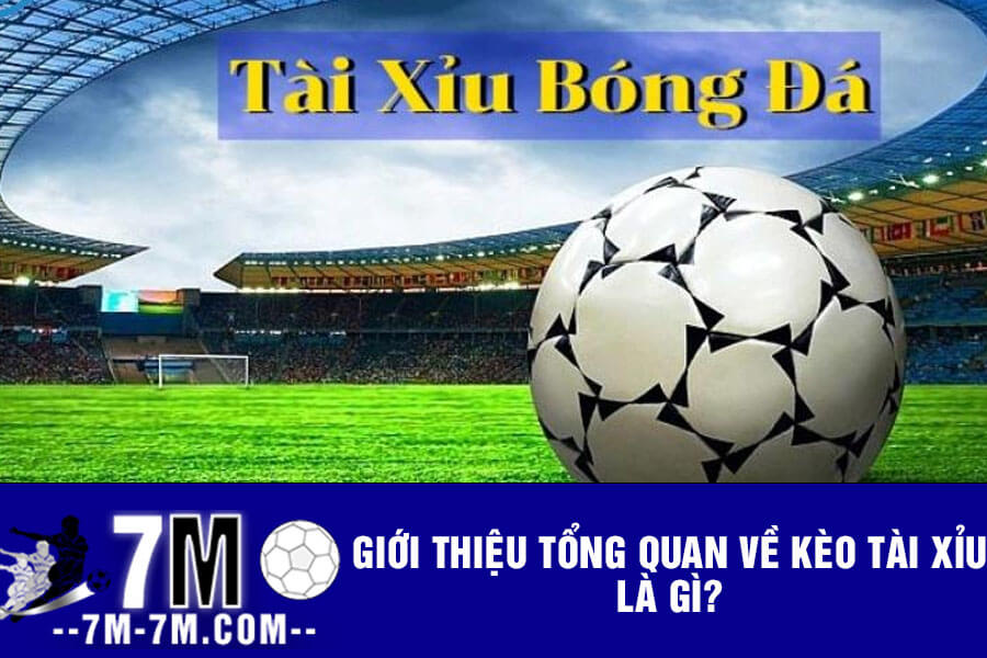 Giới thiệu tổng quan về kèo tài xỉu là gì? Giới thiệu tổng quan về kèo tài xỉu là gì?