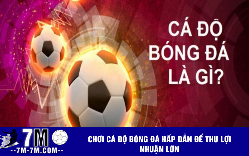 Chơi cá độ bóng đá hấp dẫn để thu lợi nhuận lớn Chơi cá độ bóng đá hấp dẫn để thu lợi nhuận lớn