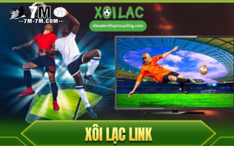Xoilac cung cấp thông tin bóng đá chính xác