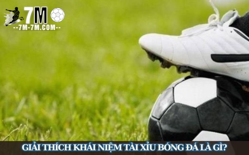 Tài xỉu bóng đá là gì? Tài xỉu bóng đá là gì?